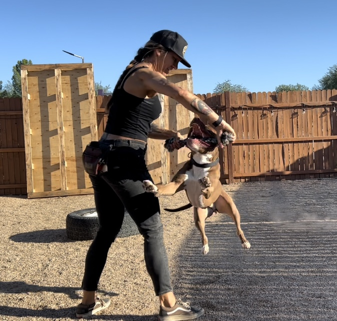 Aggression dog training session at Active K9 Training.