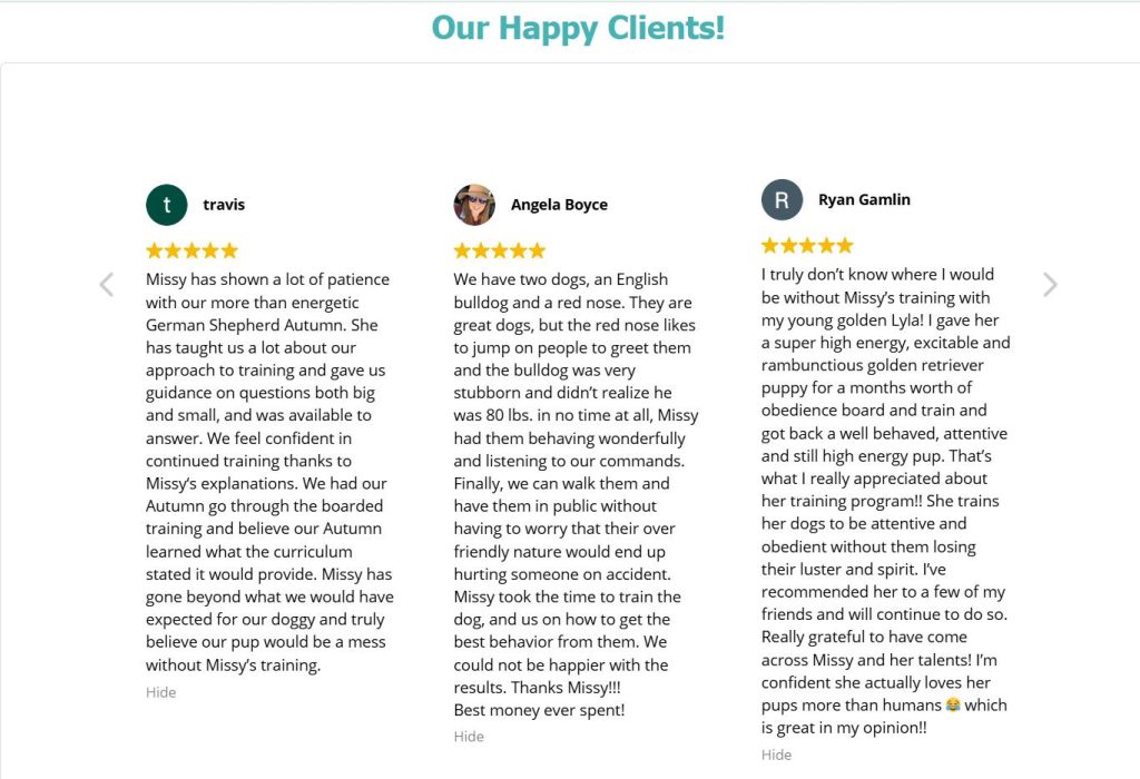 Phoenix adult dog training, board & train program, fix dog misbehavior, leash pulling, excessive barking, aggression in dogs, separation anxiety in dogs, positive reinforcement, customized training, dog behavior modification