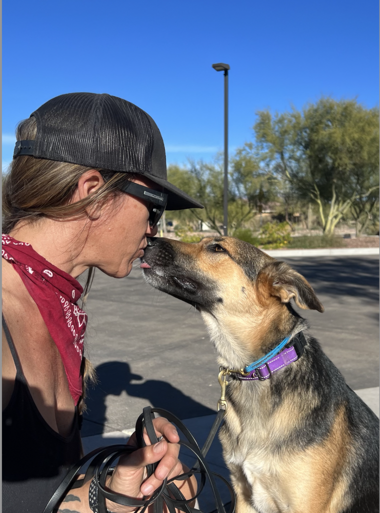 Phoenix adult dog training, board & train program, fix dog misbehavior, leash pulling, excessive barking, aggression in dogs, separation anxiety in dogs, positive reinforcement, customized training, dog behavior modification